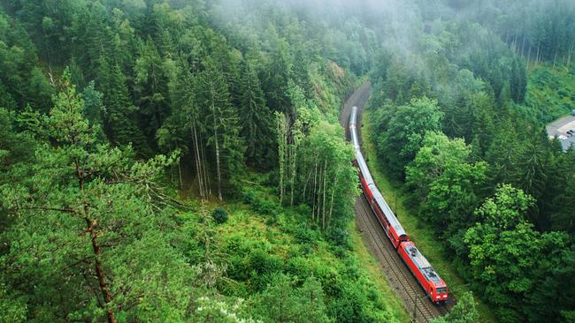 A train in Black Forest covered in soft clouds