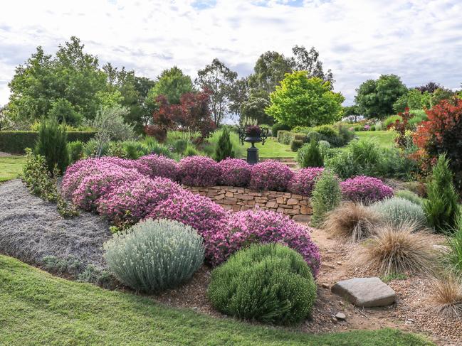 EMBARGO FOR TWAM 28 MAY 2022. FEE MAY APPLY.  Eagle's Bluff garden owned by Carolyn Robinson in Tenterfield, NSW. Photo: Kim Woods Rabbidge