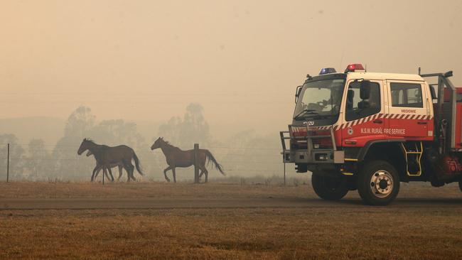 Horses flee as an out of control fire threatens properties near Stanford Merthyr. Darren Pateman