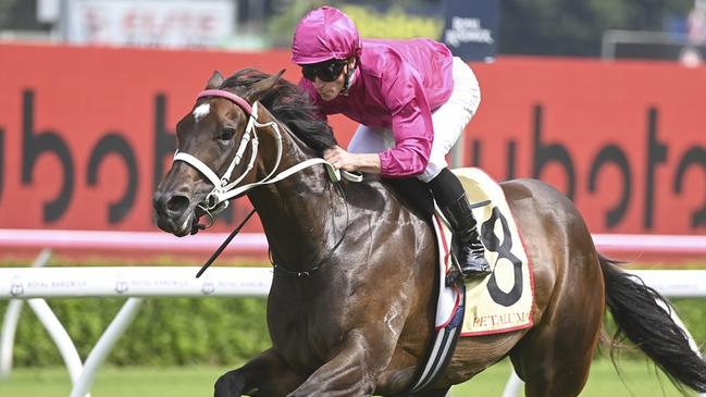 Fangirl will attempt to defend her Winx Stakes crown at Royal Randwick.