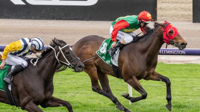 Zayydani winning the Group 2 Matriarch Stakes at Flemington. Picture: Racing Photos via Getty Images