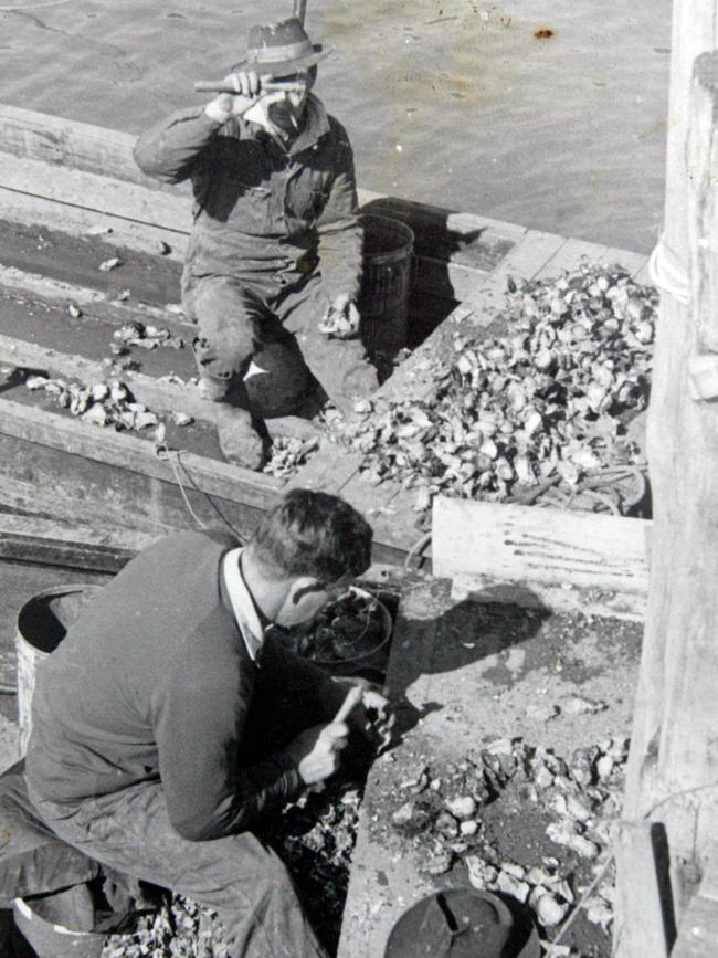 Charlie "Cobber" Moxham and Bob Moxham culling oysters on the family oyster farm on the Hawkesbury River at Brooklyn.