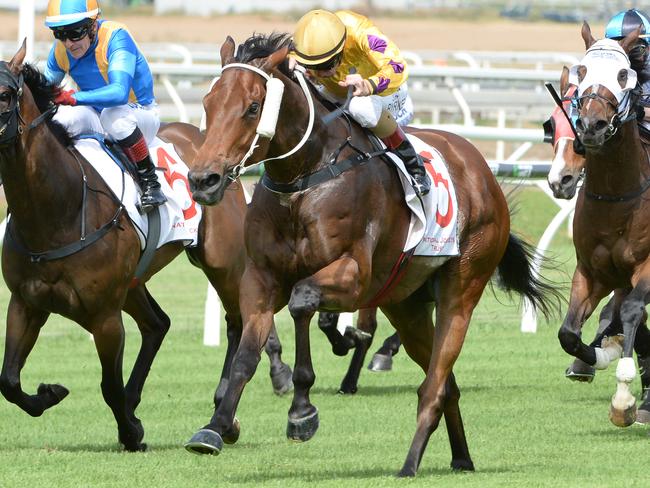 Perfect Dare wins at Eagle Farm. Picture: Grant Peters, Trackside Photography