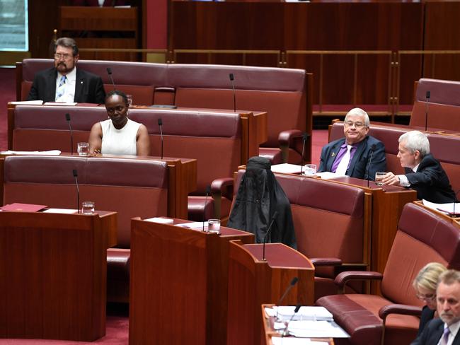 One Nation Senator Pauline Hanson shocked senators with her decision to wear a burqa. Picture: AAP