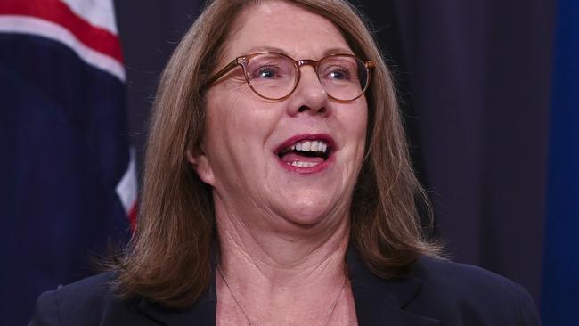 CANBERRA, AUSTRALIA, NewsWire Photos. NOVEMBER 16, 2023: Minister for Infrastructure, Transport and Regional Development of Australia Catherine King holds a press conference at  at Parliament House in Canberra. Picture: NCA NewsWire / Martin Ollman