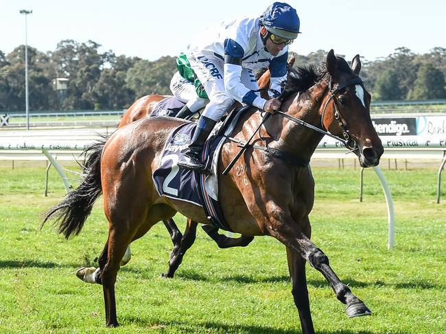 Miami Bound salutes at Bendigo in September.