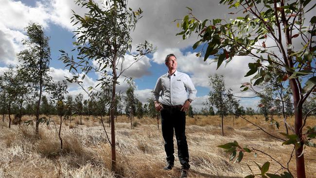 Kilter Rural chief executive Cullen Gunn on an area of land that has revegetated with Australian native trees near Swan Hill Victoria. Picture: David Geraghty