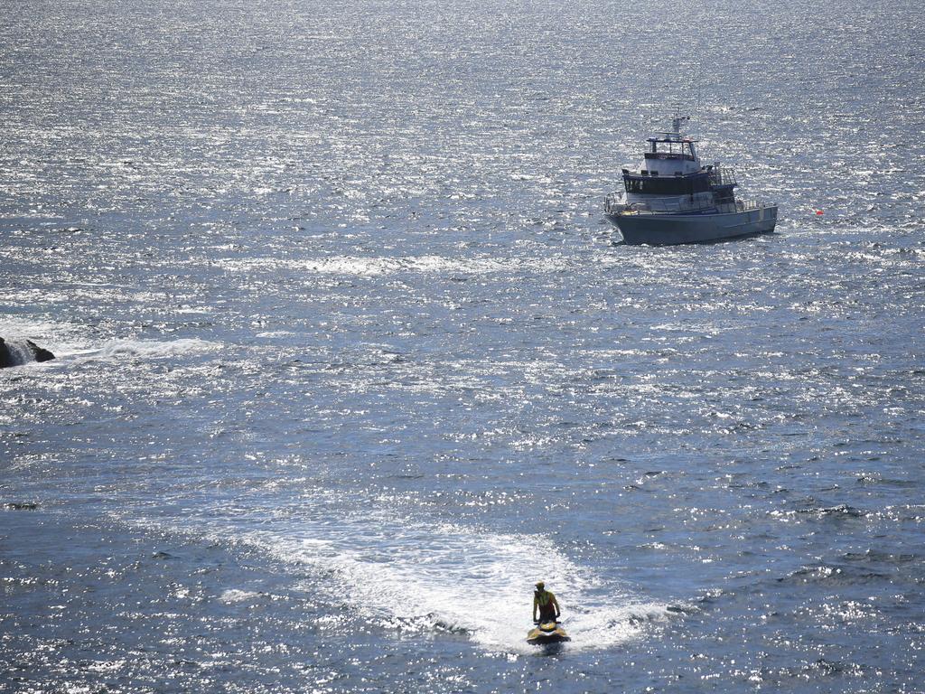 Little Bay shark attack victim swam there ‘nearly every day’ | news.com