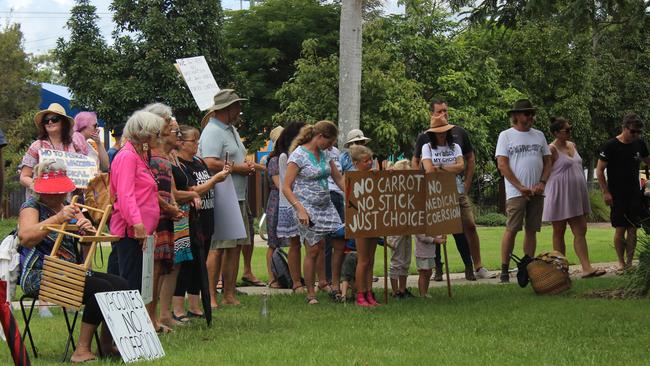 There were many more protesters at Brelsford Park back in February for the ‘Millions March’ to protest vaccinations. Photo: Tim Jarrett