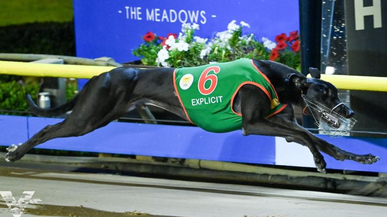 Superstar sprinter Explicit winning the Group 1 Temlee at The Meadows in February