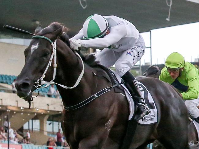 Bank Maur ridden by Craig Newitt wins the DCE Alister Clark Stakes at Moonee Valley Racecourse on March 18, 2023 in Melbourne, Australia. (Photo by George Sal/Racing Photos via Getty Images)