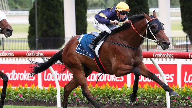 Yukon produced a good effort first-up and looks suited going to the mile. Picture: Getty Images