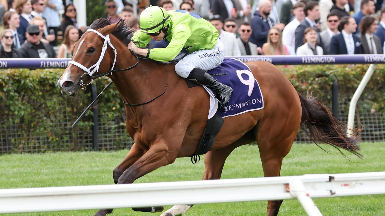 Stokes pair thriving ahead of Group 1 Robert Sangster Stakes | The Mercury