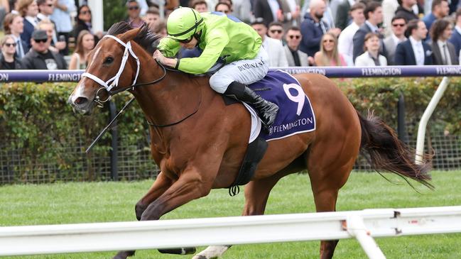 Stretan Angel wins the Danehill Stakes at Flemington in 2023. Picture: George Sal-Racing Photos.