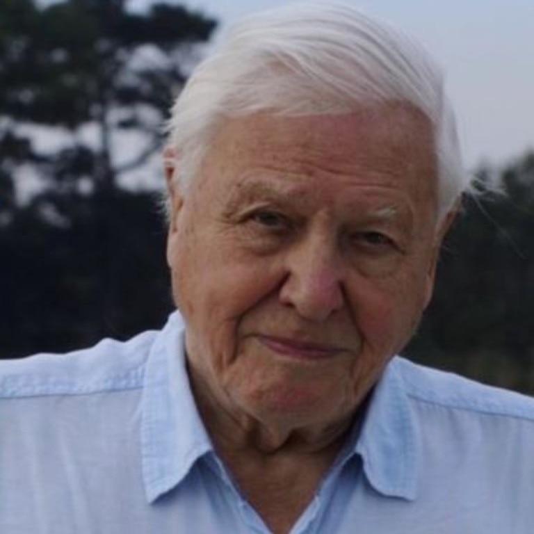 Sir David Attenborough was misquoted by an artist behind an Adelaide plaque. Picture: Instagram