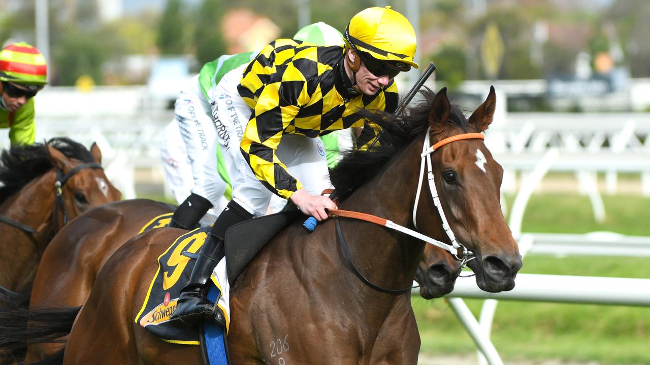 Thousand Guineas winner Yearning looks a good chance in the Group 1 Coolmore Classic. Picture: Getty Images