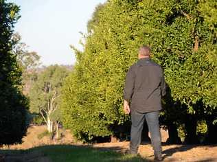 NETWORK: Extension officers will have the opportunity to develop their skills at Gayndah. Picture: Felicity Ripper