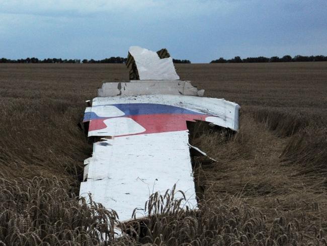 Wreckage of the Malaysia Airlines flight carrying 298 people from Amsterdam to Kuala Lumpur. Picture: AFP / DOMINIQUE FAGET