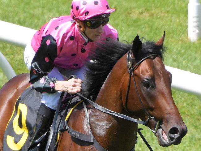 Jockey Blake Shinn returns to scale after riding Mamaragan to victory in race 3, the Schweppes Skyline Stakes, during Chipping Norton Stakes Day at Royal Randwick Racecourse in Sydney, Saturday, February 29, 2020. (AAP Image/Simon Bullard) NO ARCHIVING, EDITORIAL USE ONLY