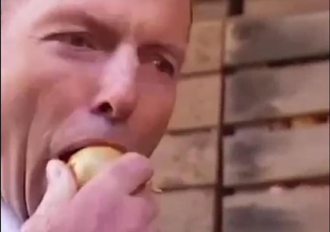 Prime Minister Tony Abbott was given an onion to inspect while touring a farm in Tasmania. It was a very nice-looking, as onions go, but no-one really expected him to just crunch into it did they?