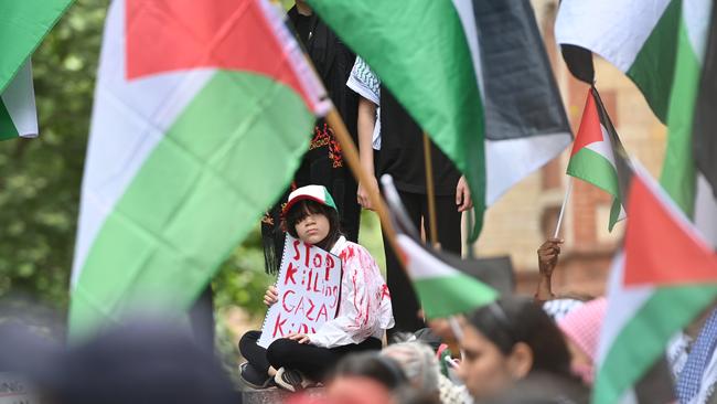 A 'Solidarity with Palestine' rally was held in Adelaide at Parliament house. Picture: Keryn Stevens