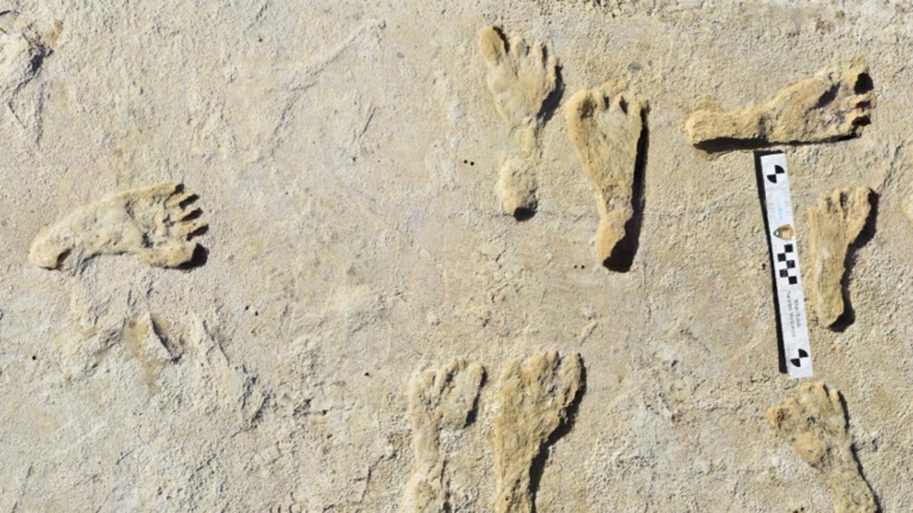 The footprints give a good idea of how long ago humans lived in America. Picture: NPS