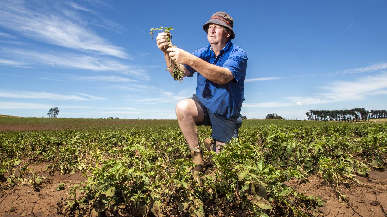 Potato farmer Rodney Guthrie is one of the farmers who had his crop destroyed. Aaron Francis/Herald Sun