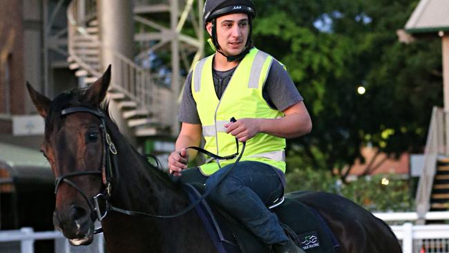 Provocative is a ssured of a start in the Queensland Oaks. Picture: Annette Dew