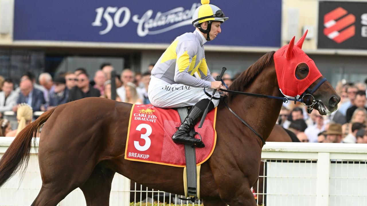 Everything to need to know to tip a Melbourne Cup winner