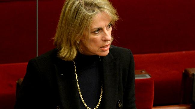 Liberal Senator Georgie Crozier says the risk posed by the injecting room to kids is too great. Picture: Andrew Henshaw