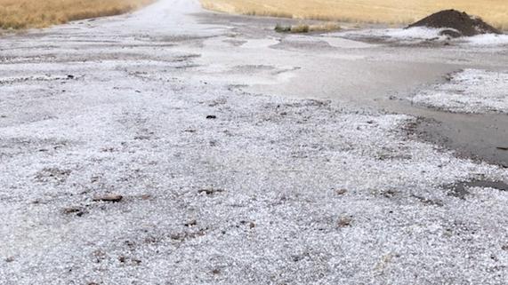 Hail covered the ground of the Tuckerang property. Photo: Douglas Wunsch