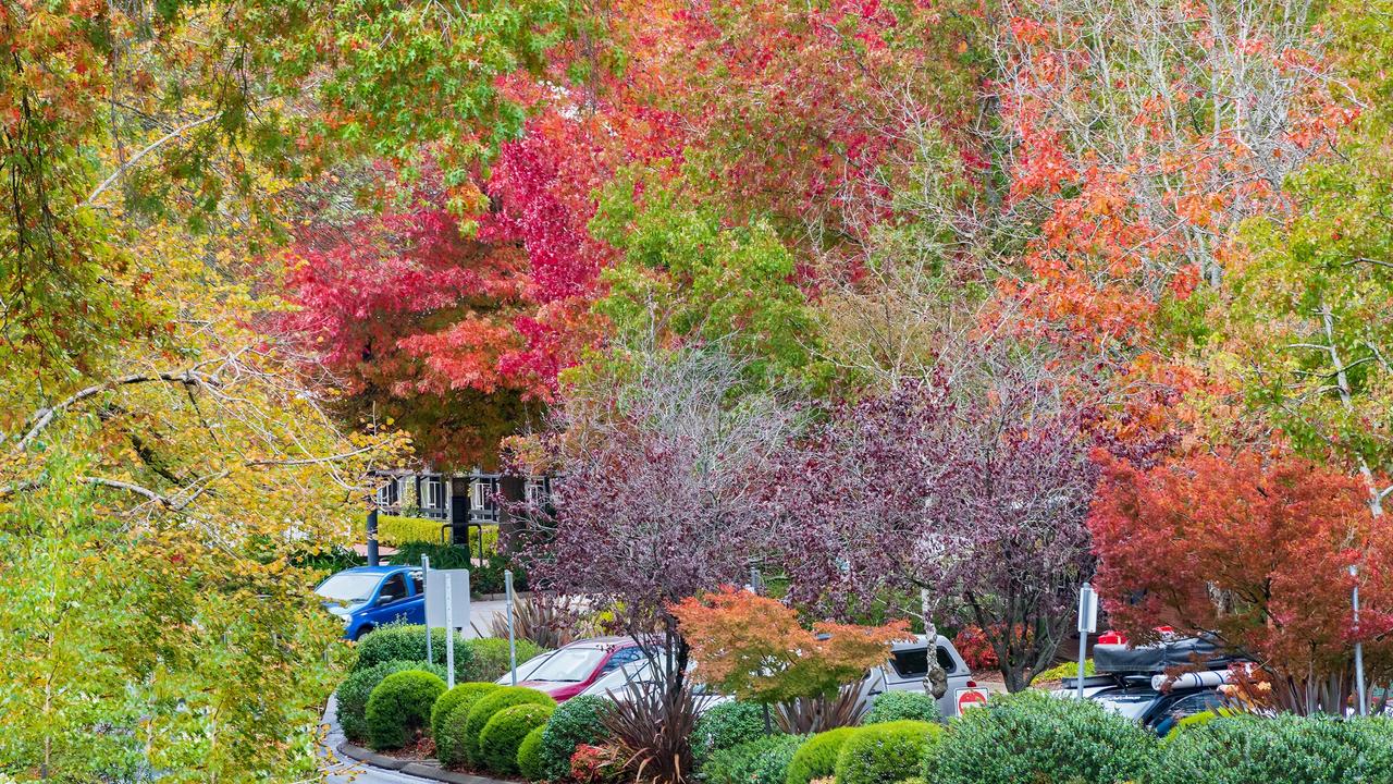 The Adelaide Hills in autumn. Picture: @waynepearsonsnaps via Instagram