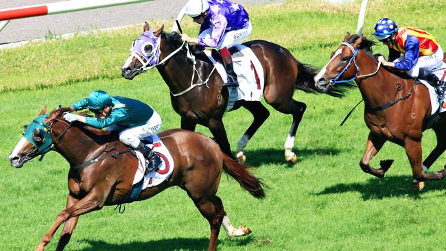 Acatour will be hard to beat in the Frank Packer Plate. Picture: Jenny Evans