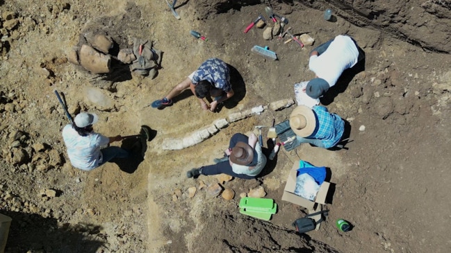 Rare new fossil find in Outback Queensland