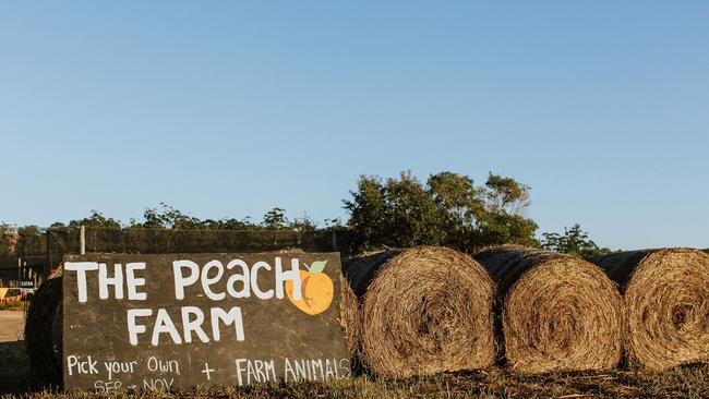 Images from The Peach Farm – one of Daily Examiner Clarence Favourite Feeds contenders. Photos from @minyarose – www.minyarose.com.au