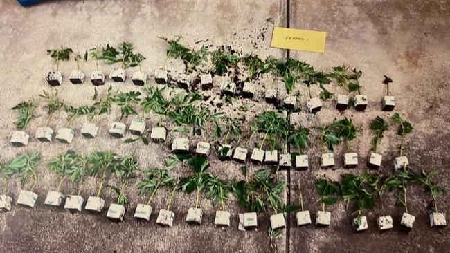 Cannabis and evidence found at a grow house in Flinders Park. Picture: Courts.