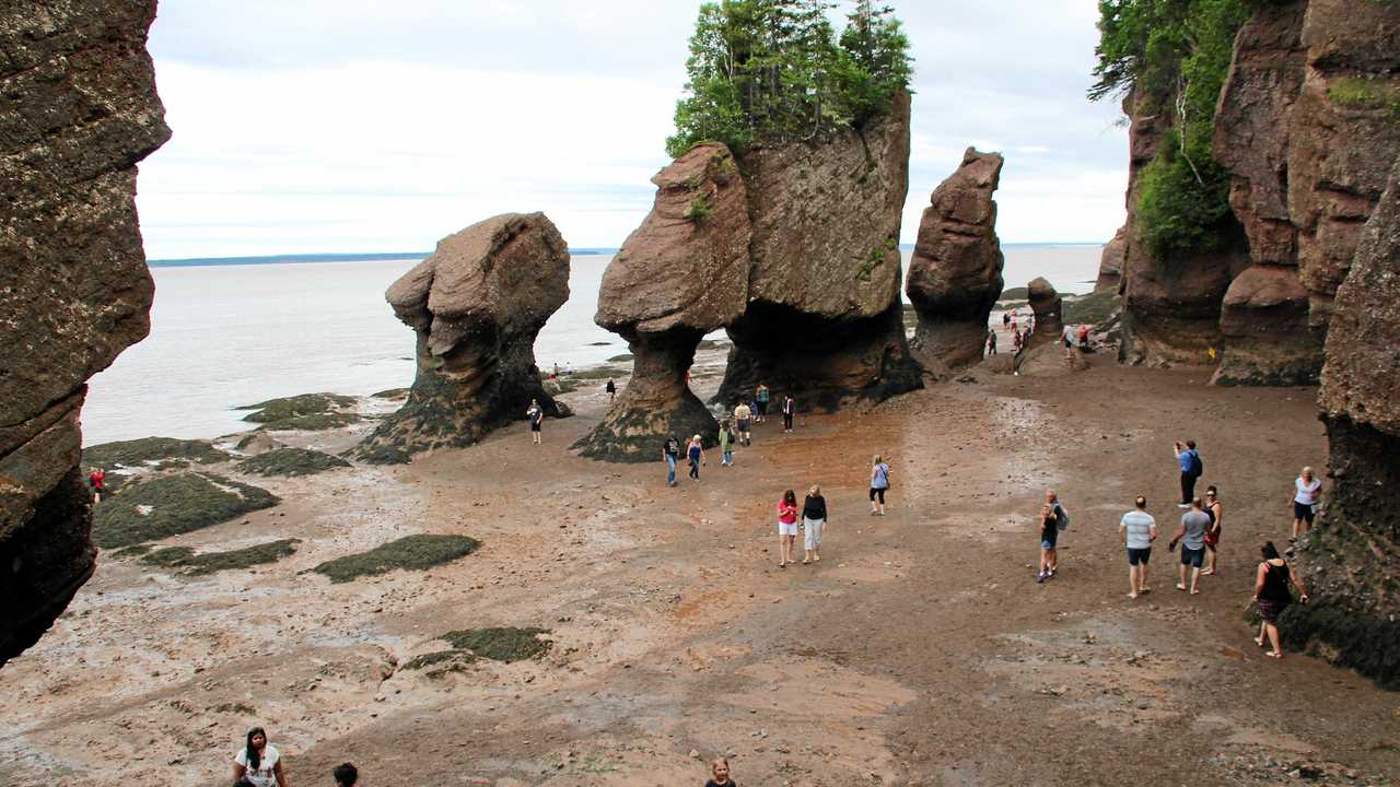 Chasing the World's Highest Tides in the Bay of Fundy: Canadian