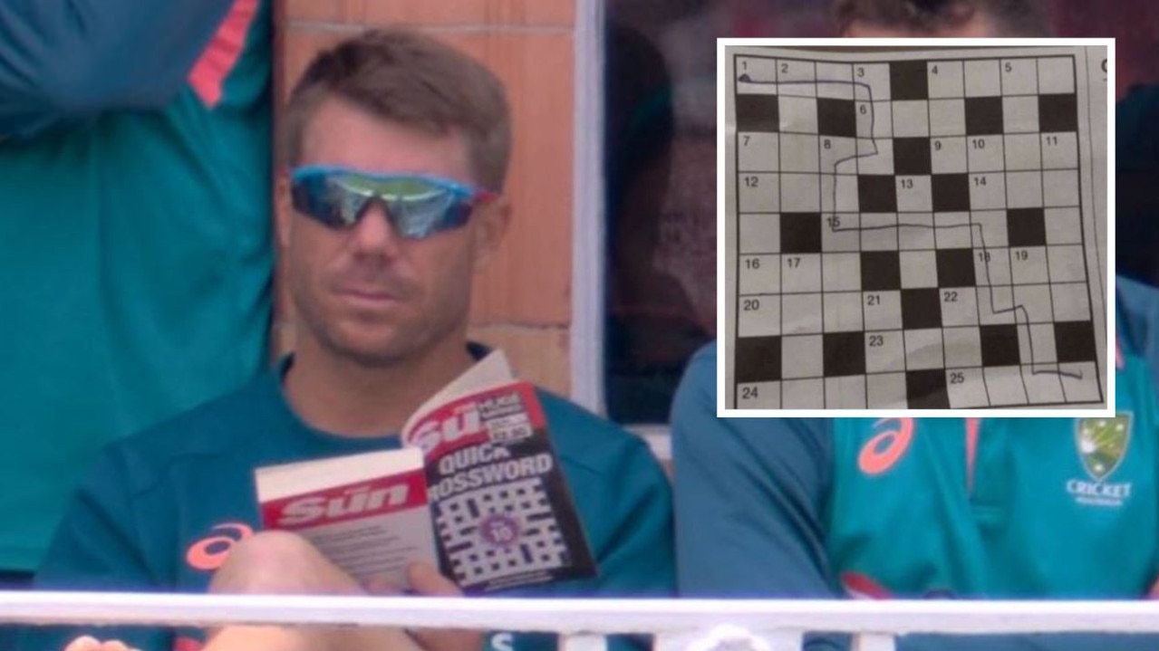 Fans destroy David Warner’s crossword attempt: ‘Funniest thing I’ve seen’