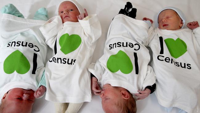 Some new arrivals at Cairns, who made it just in time to be included on this year’s Census. Picture: Anna Rogers