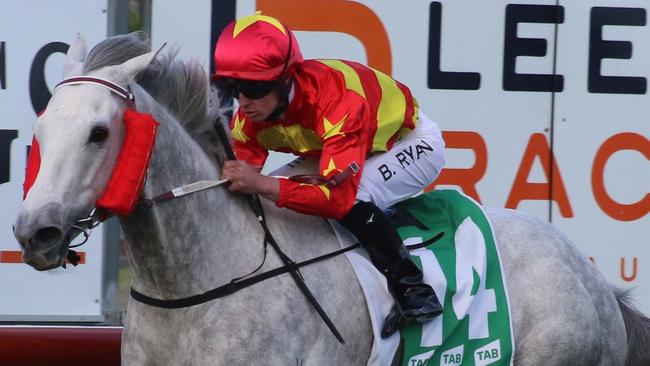 Much Much Better can land another win for Gary Moore at Rosehill. Picture: Grant Guy
