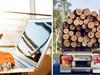 Timber firm swindled: Bogus logs and $450k fraud