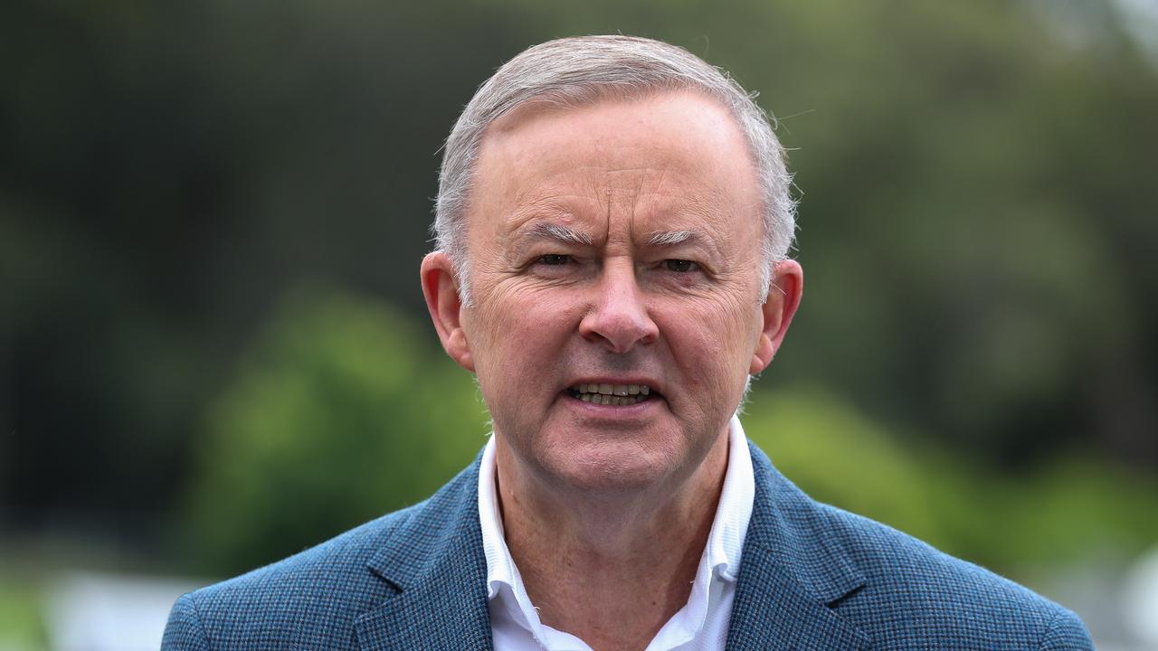 Michael McGuire: Albanese is more of a Goose than a Maverick | The ...