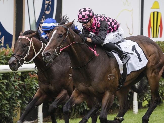 Rothfire and jockey Ben Thompson (centre) win the King of the Mountain for trainer Robert Heathcote at Clifford Park Racecourse, Monday, January 1, 2024. Picture: Kevin Farmer