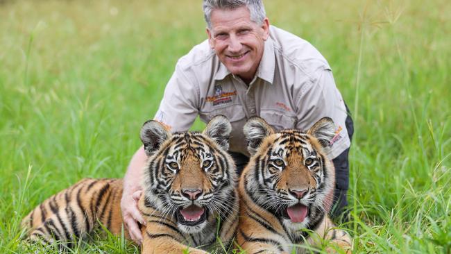 Dreamworld's Tiger Island manager Patrick Martin-Vegue with Javi and Zakari, who were born on April 26 last year. Picture: Nigel Hallett