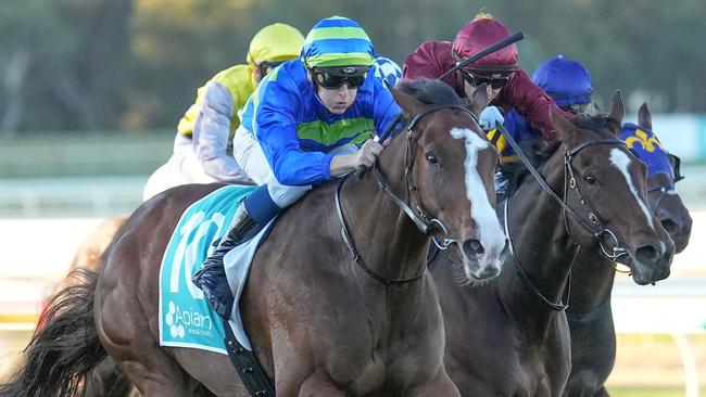 Chorlton Lane (IRE) ridden by Ethan Brown wins the Filkel BM84 Handicap at Bendigo Racecourse on April 13, 2024 in Bendigo, Australia. (Photo by Scott Barbour/Racing Photos via Getty Images)