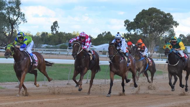 Coming down the home straight in Race 1 at the Roma Picnic Races.