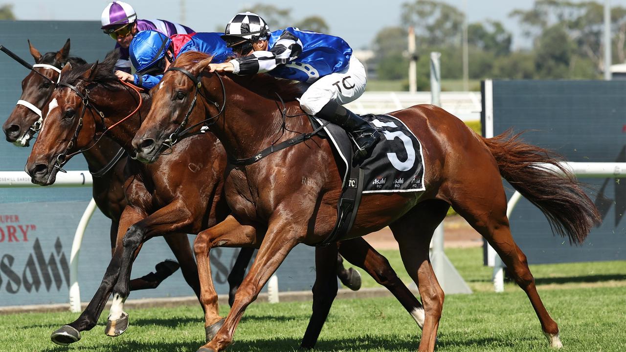 Sky’s the limit as Vauban delivers for Tulloch Lodge