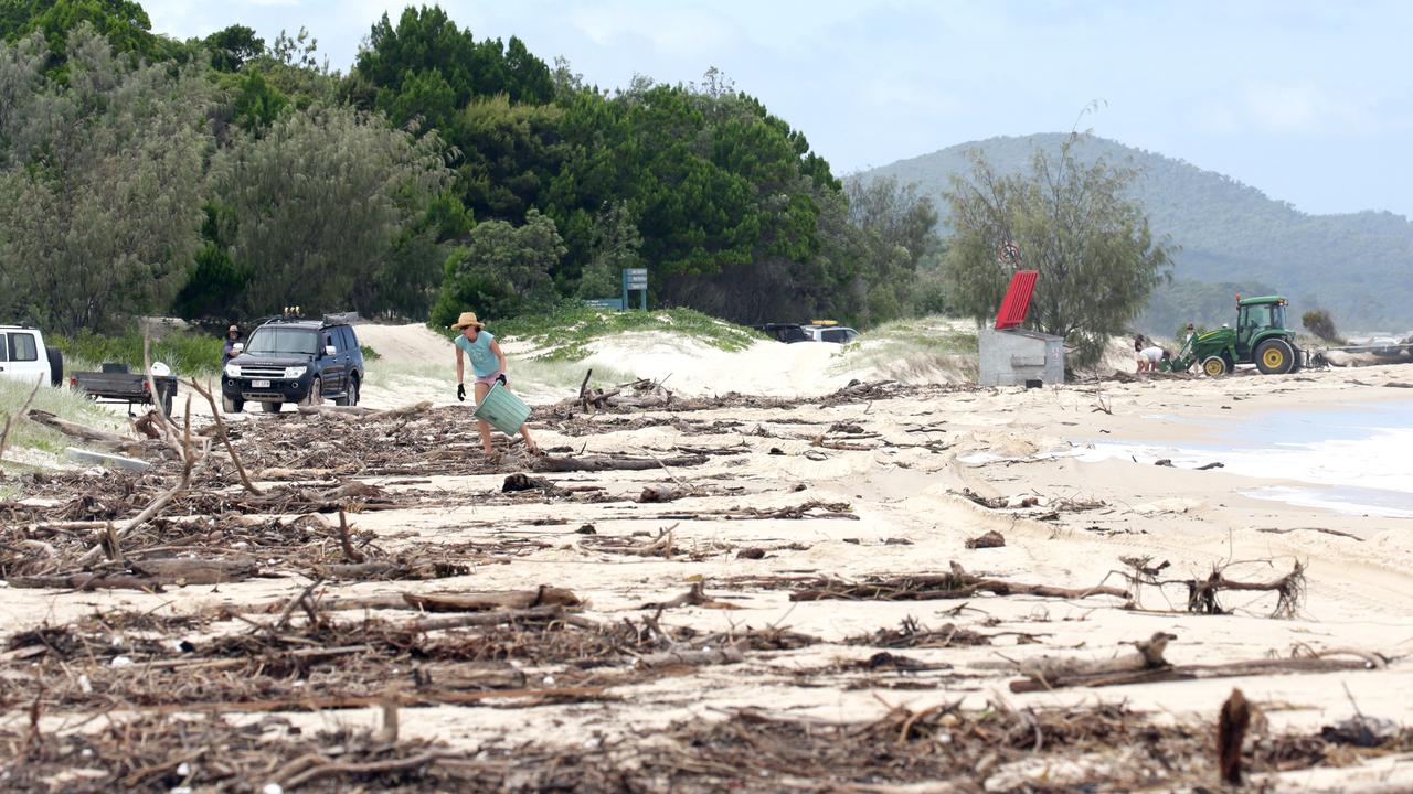 The flood debris washed up on Moreton Island. Picture: Steve Pohlner