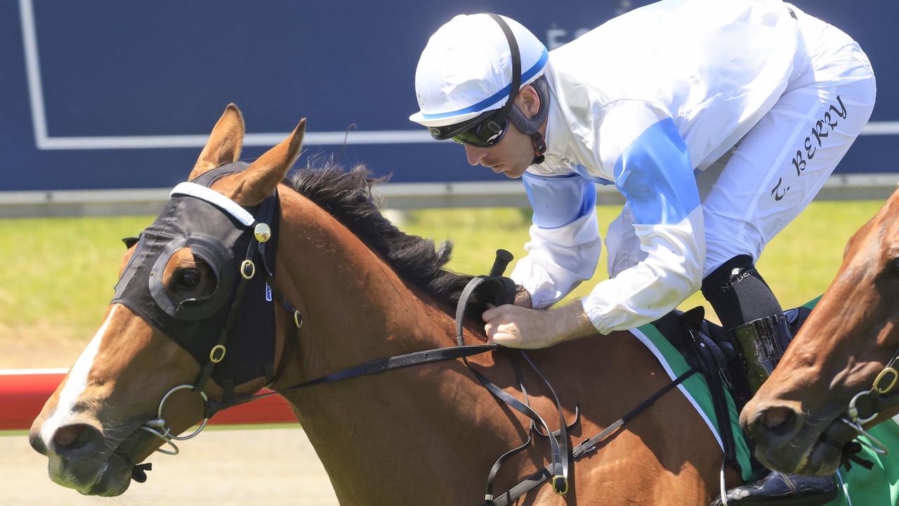 The Terry Robinson-trained King's Trust can land another TAB Highway win. Picture: Getty Images