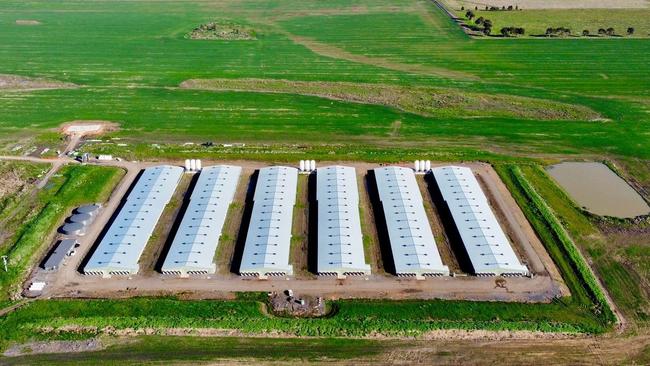 A broiler farm owned by Pavilion Farms which is the same as the proposed $13m farm in Anakie. Picture: Supplied